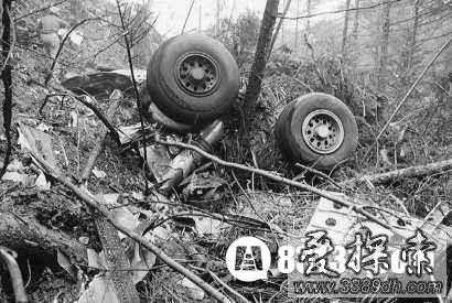 日本航空123号班机空难事件图片