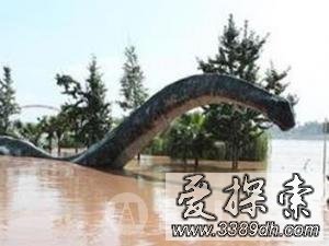 重庆大洪水拍摄的龙的照片