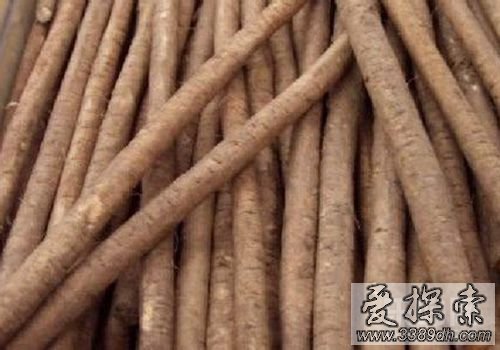 牛蒡是很好的钙源
