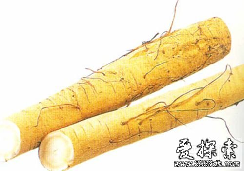 食用牛蒡增强免疫力